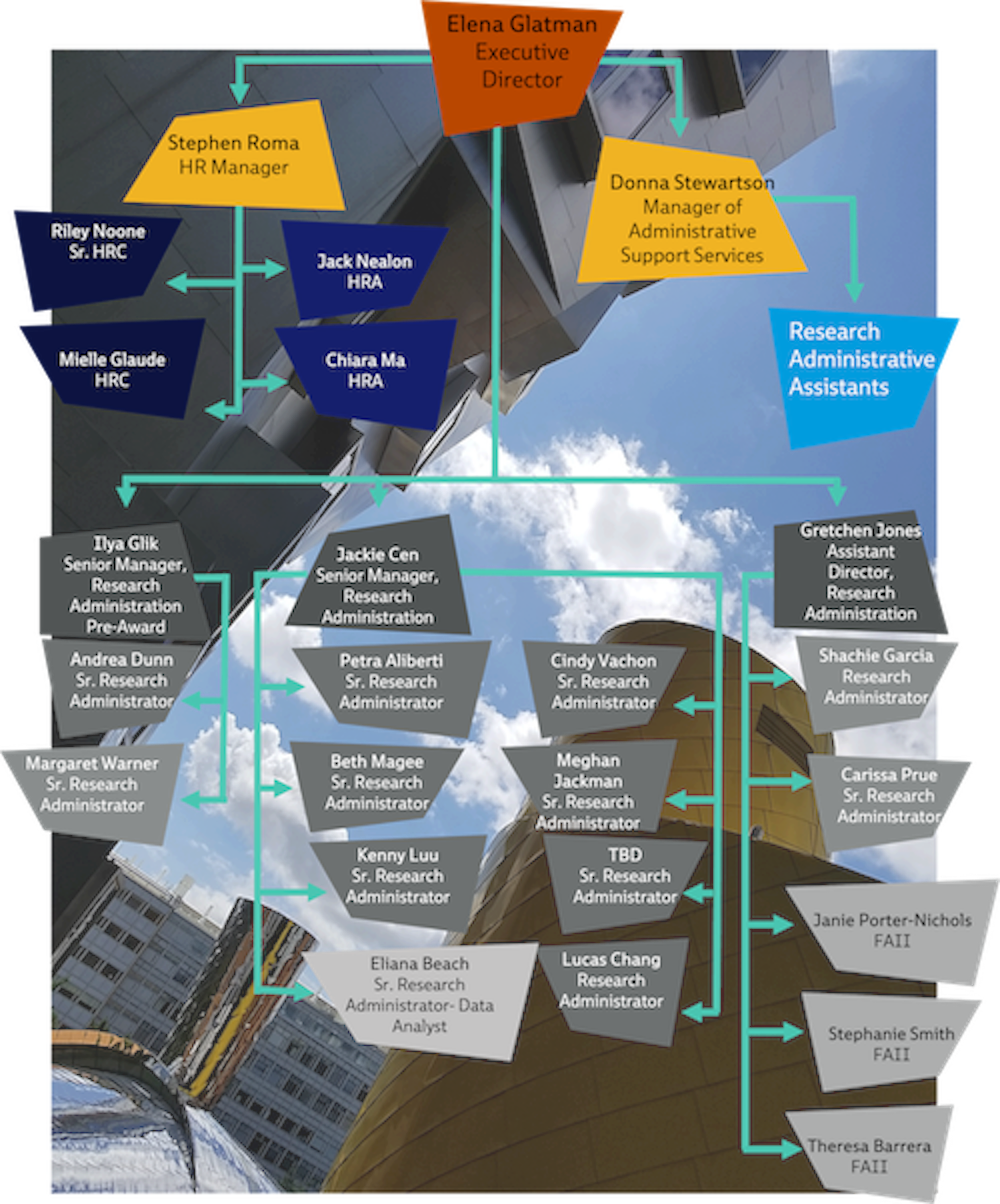 CSAIL Organization Chart